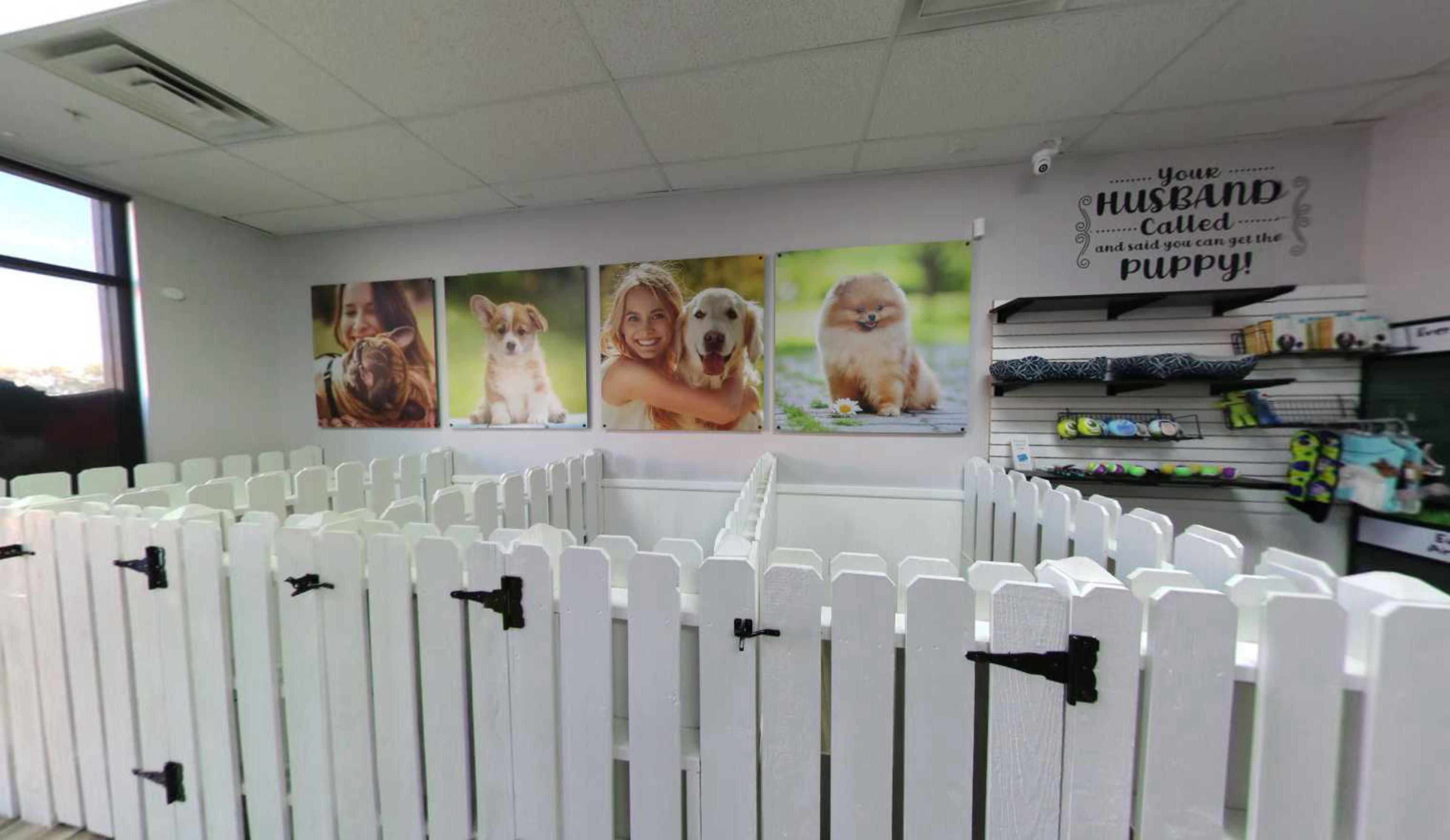 The Puppy Store Las Vegas, USA virtual tour preview