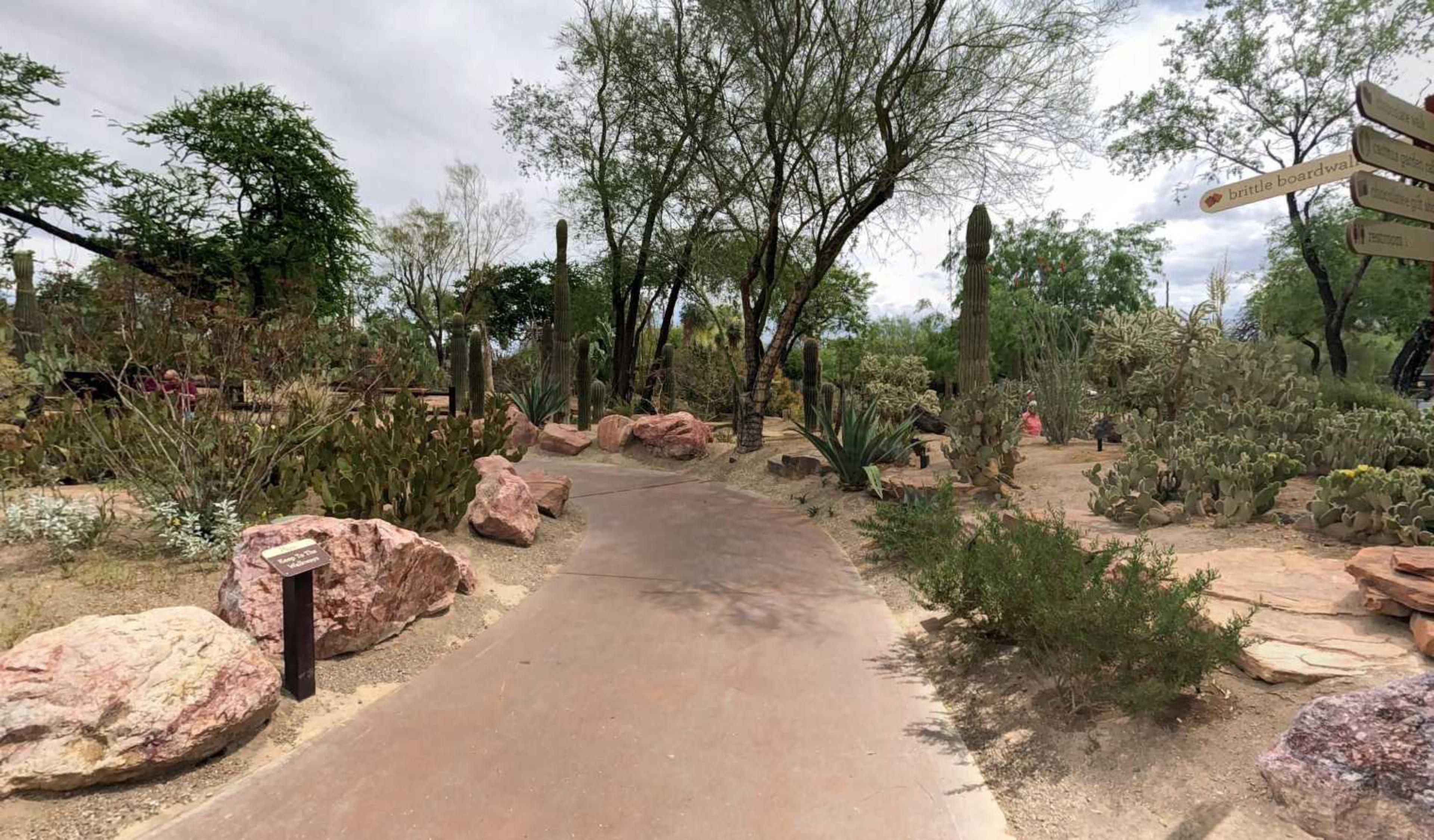 Cactus Garden Cafe, Henderson, USA virtual tour preview