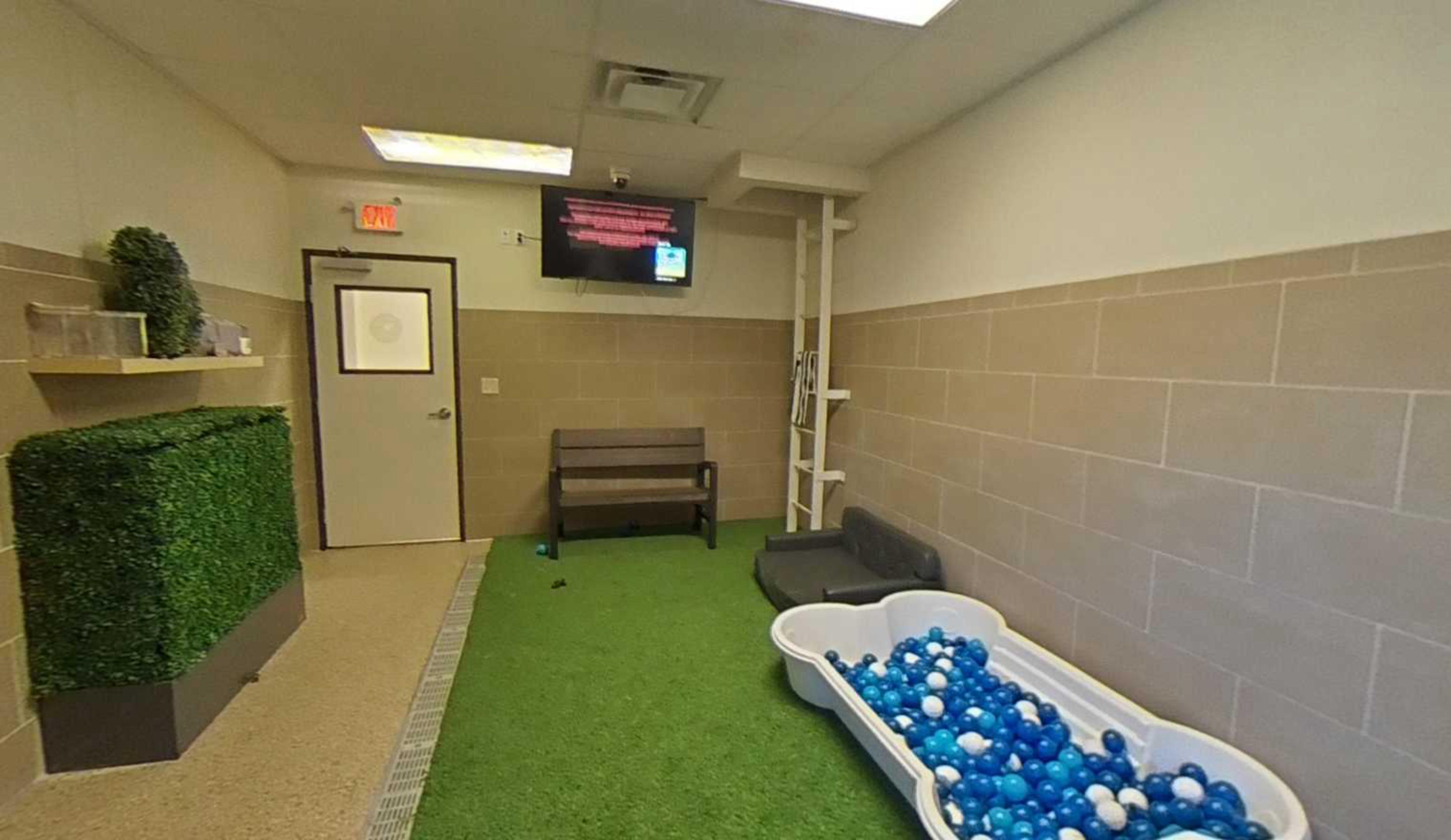 Durango Animal Hospital, Las Vegas, USA virtual tour preview