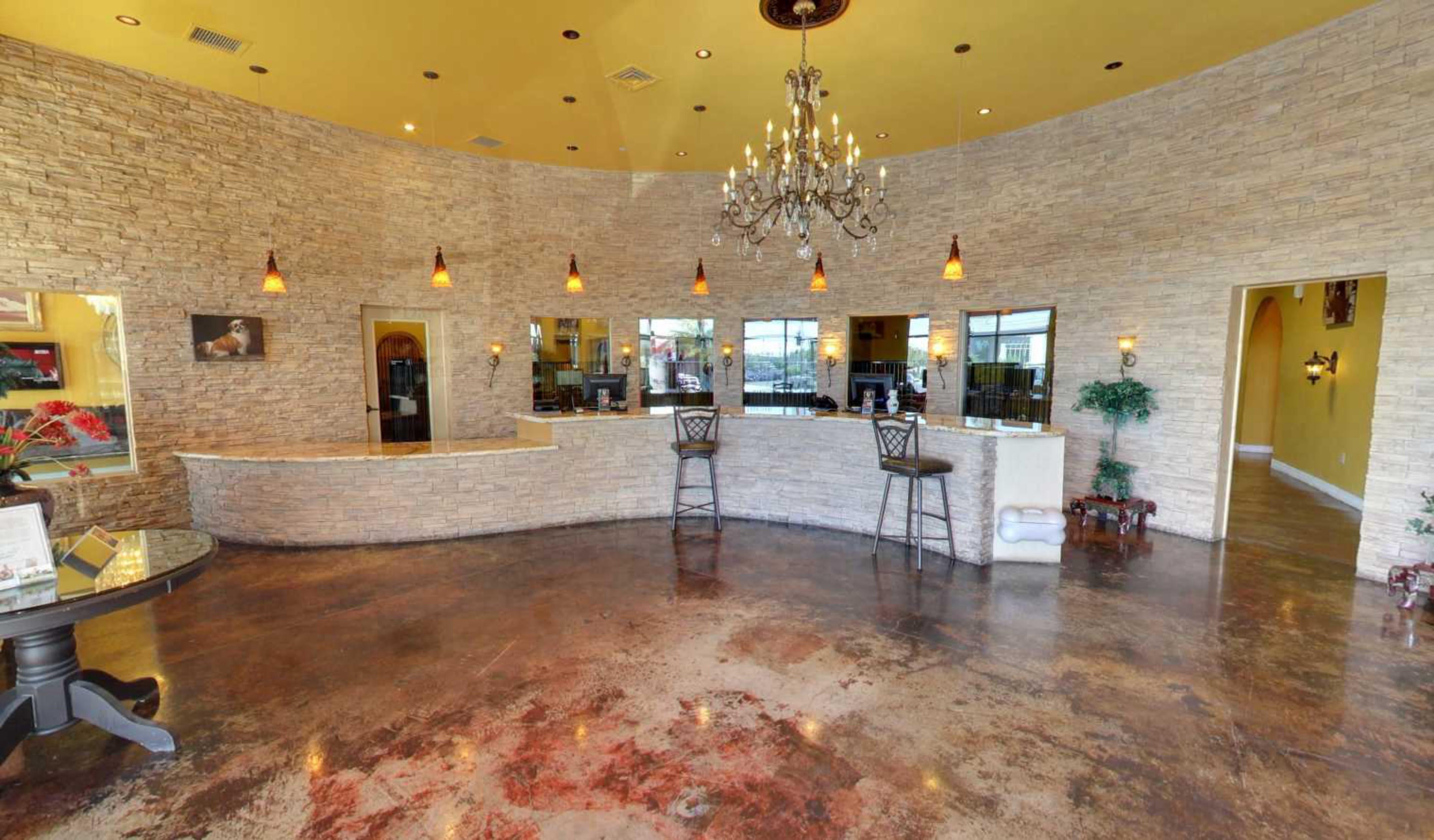 Las Vegas Dog Boarding LV Dog Hotel & Daycare, Las Vegas, USA virtual tour preview