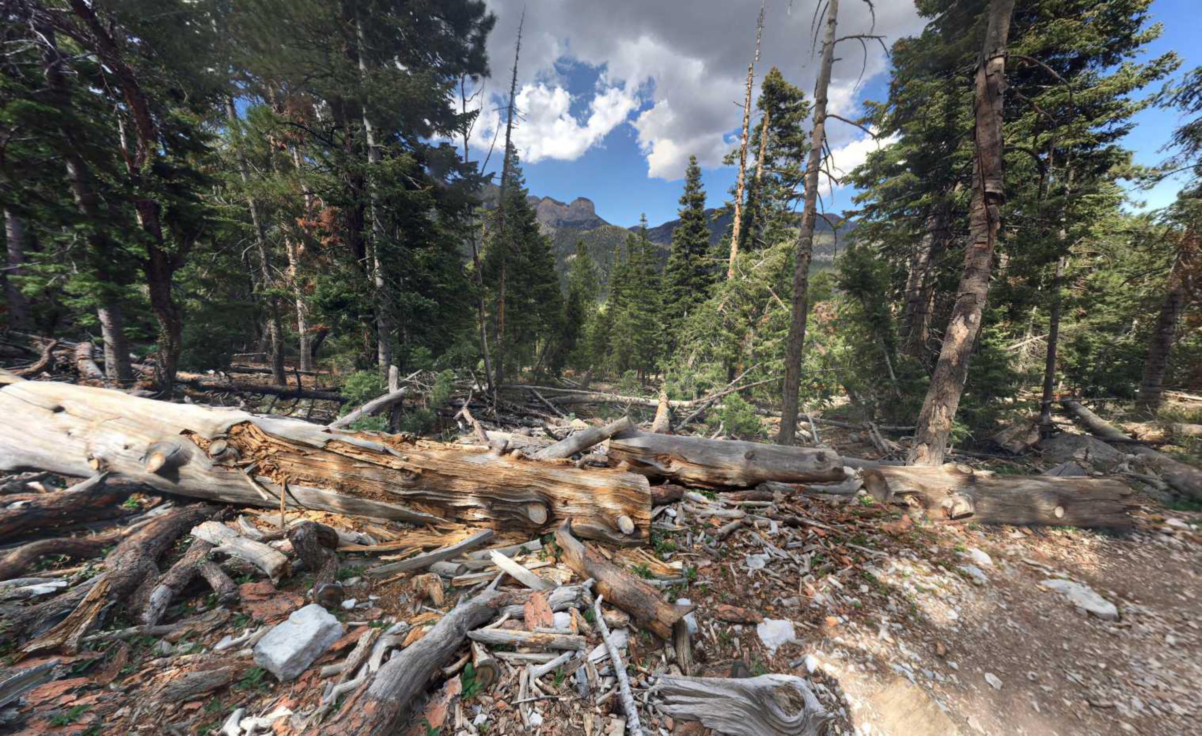 Mt. Charleston, Nevada USA virtual tour preview