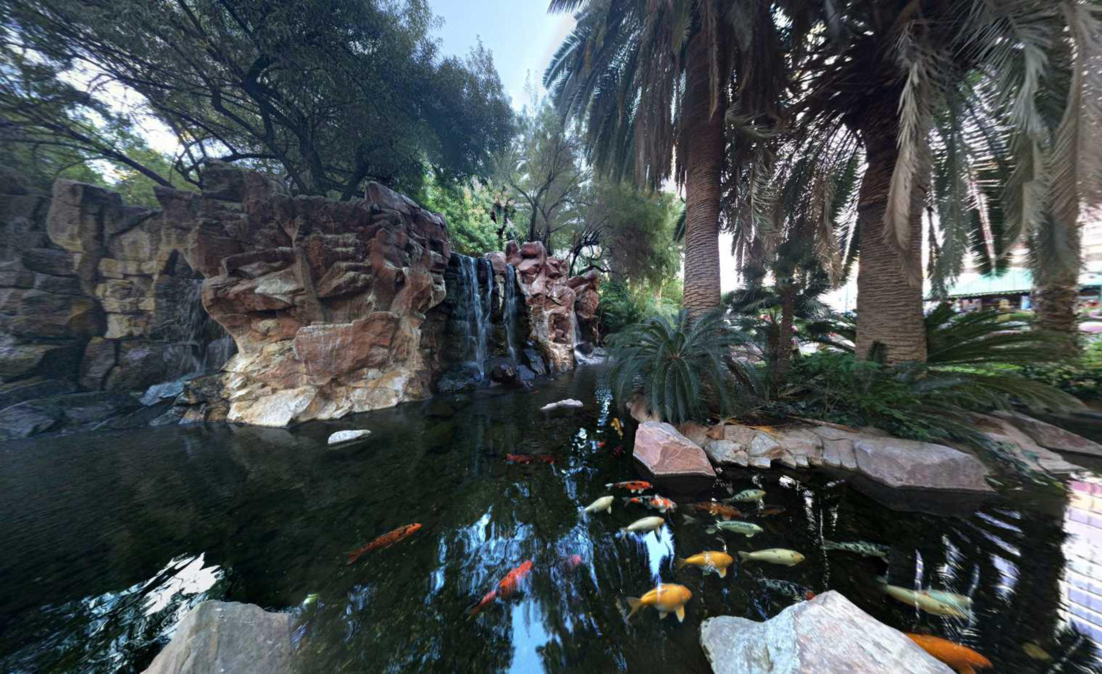 Flamingo Wildlife Habitat, Las Vegas, USA virtual tour preview