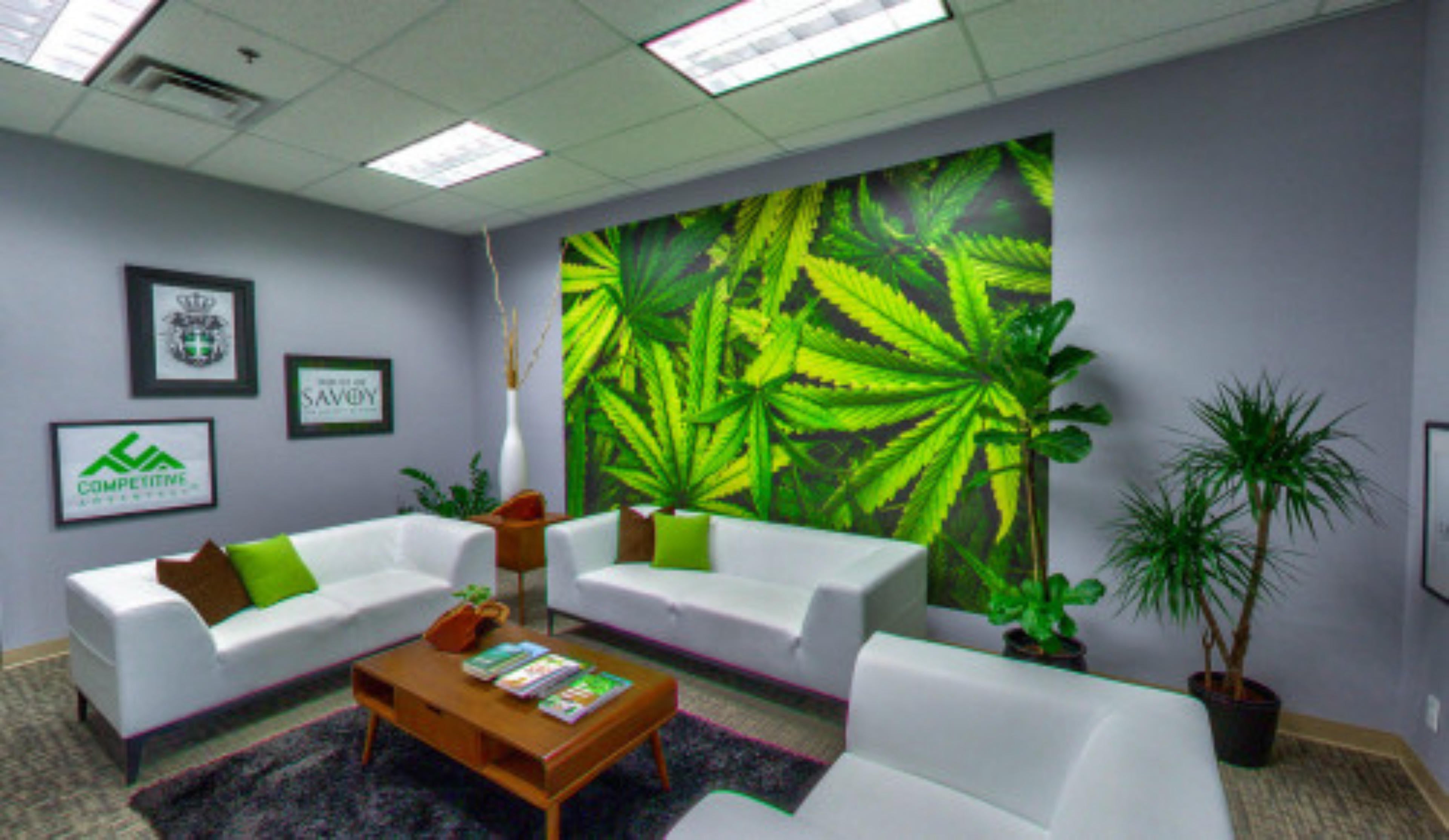 Global Cannabinoids, Las Vegas USA virtual tour preview