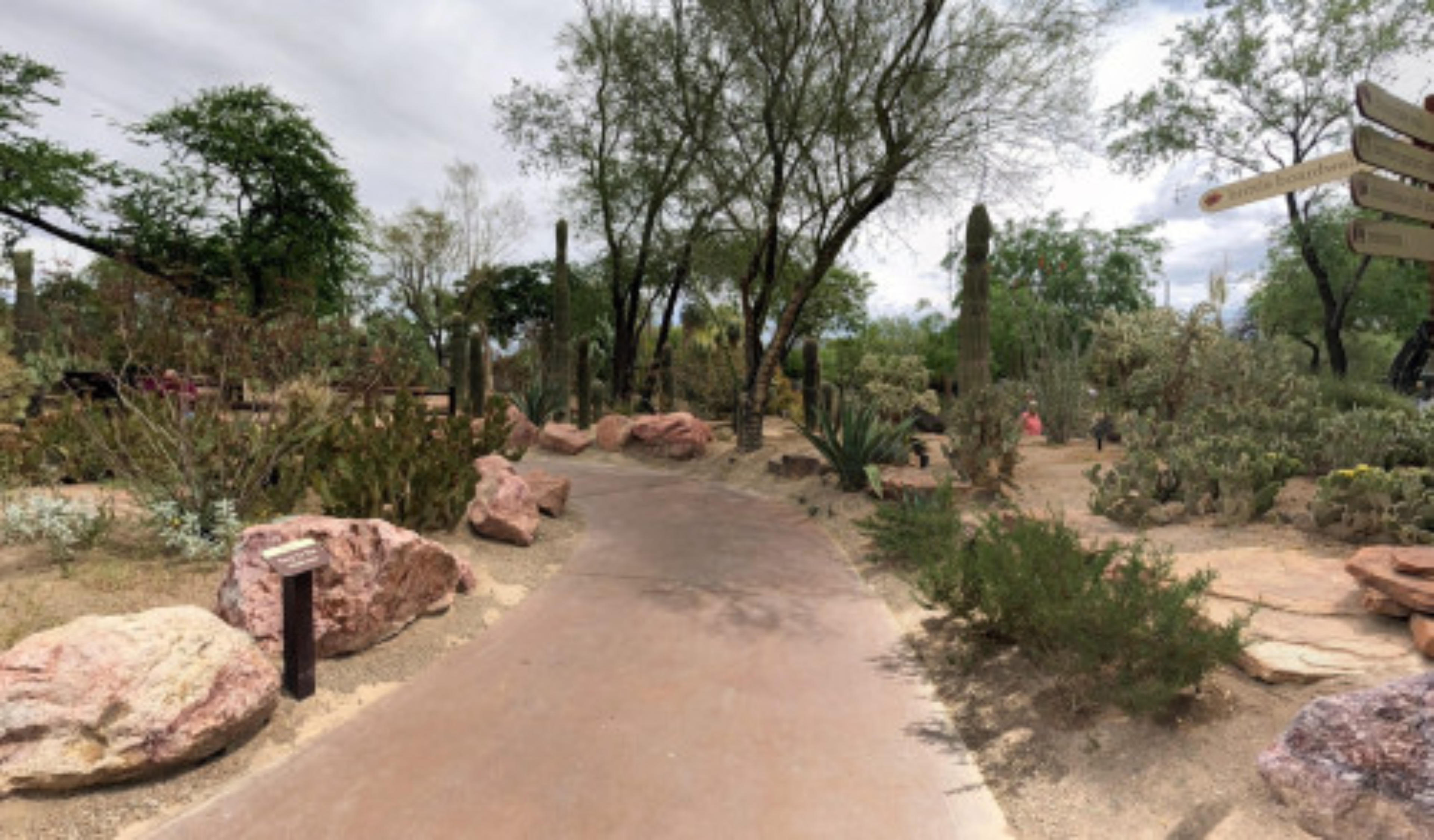 Cactus Garden Cafe, Henderson, USA virtual tour preview